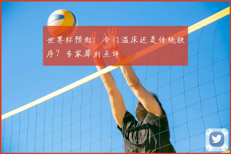 世界杯预测:冷门温床还是传统秩序?专家犀利点评