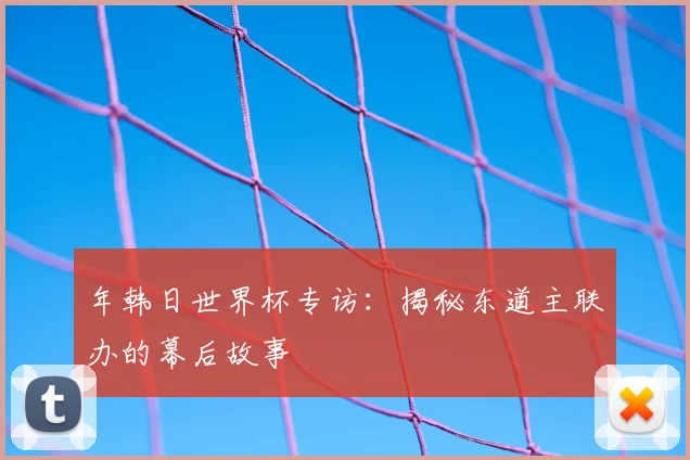 年韩日世界杯专访：揭秘东道主联办的幕后故事